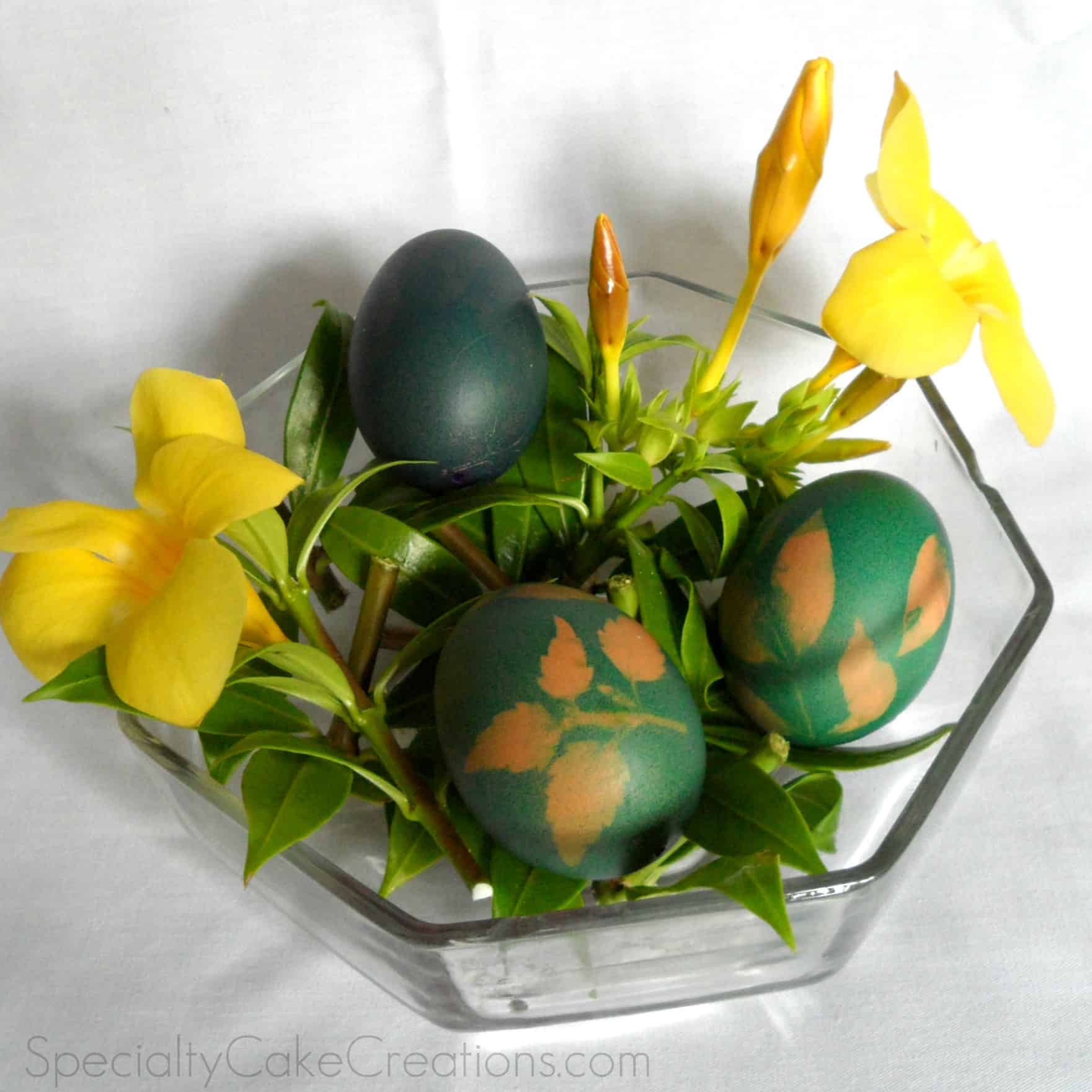 Coloured Eggs in Bowl