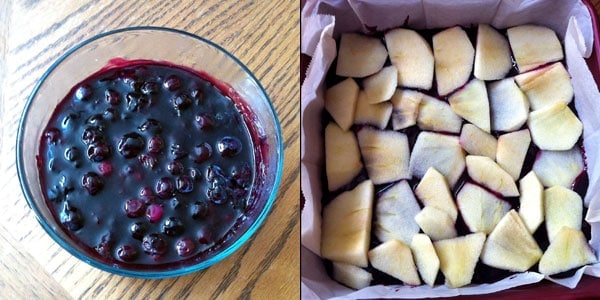 Blueberry Sauce and Apples