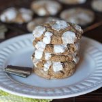 Chocolate Minty Crinkle Cookies Recipe