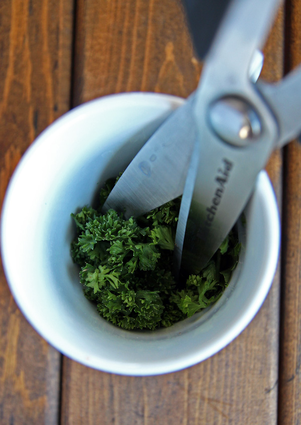 Cutting Parsley with Scissors