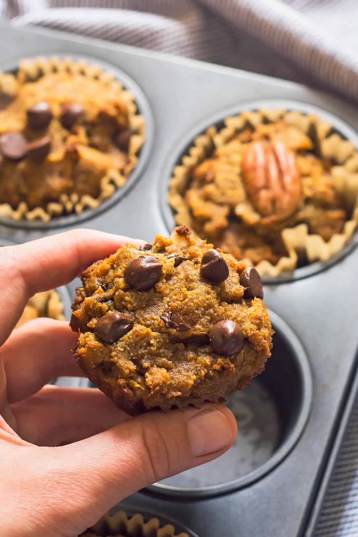 Hand Holding Chocolate Chip Muffin