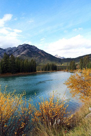 Banff in the Fall