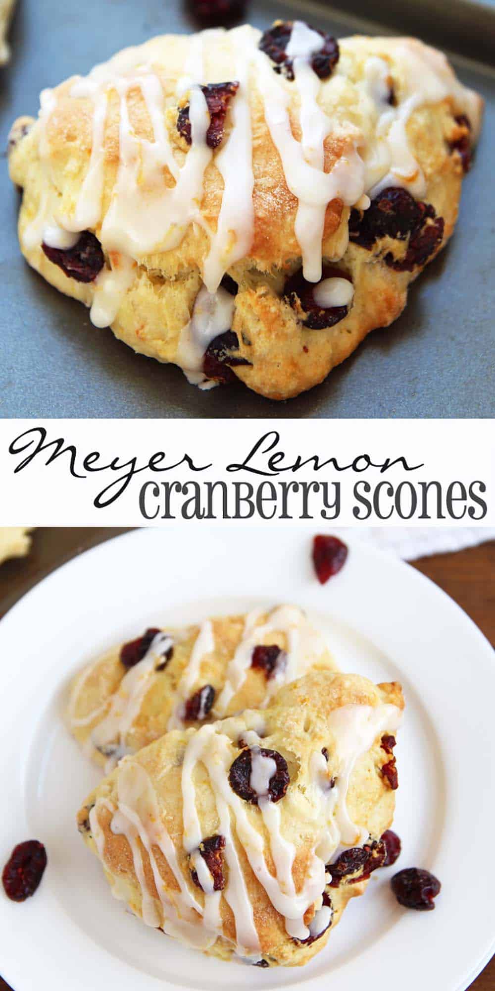 Meyer Lemon Cranberry Scones