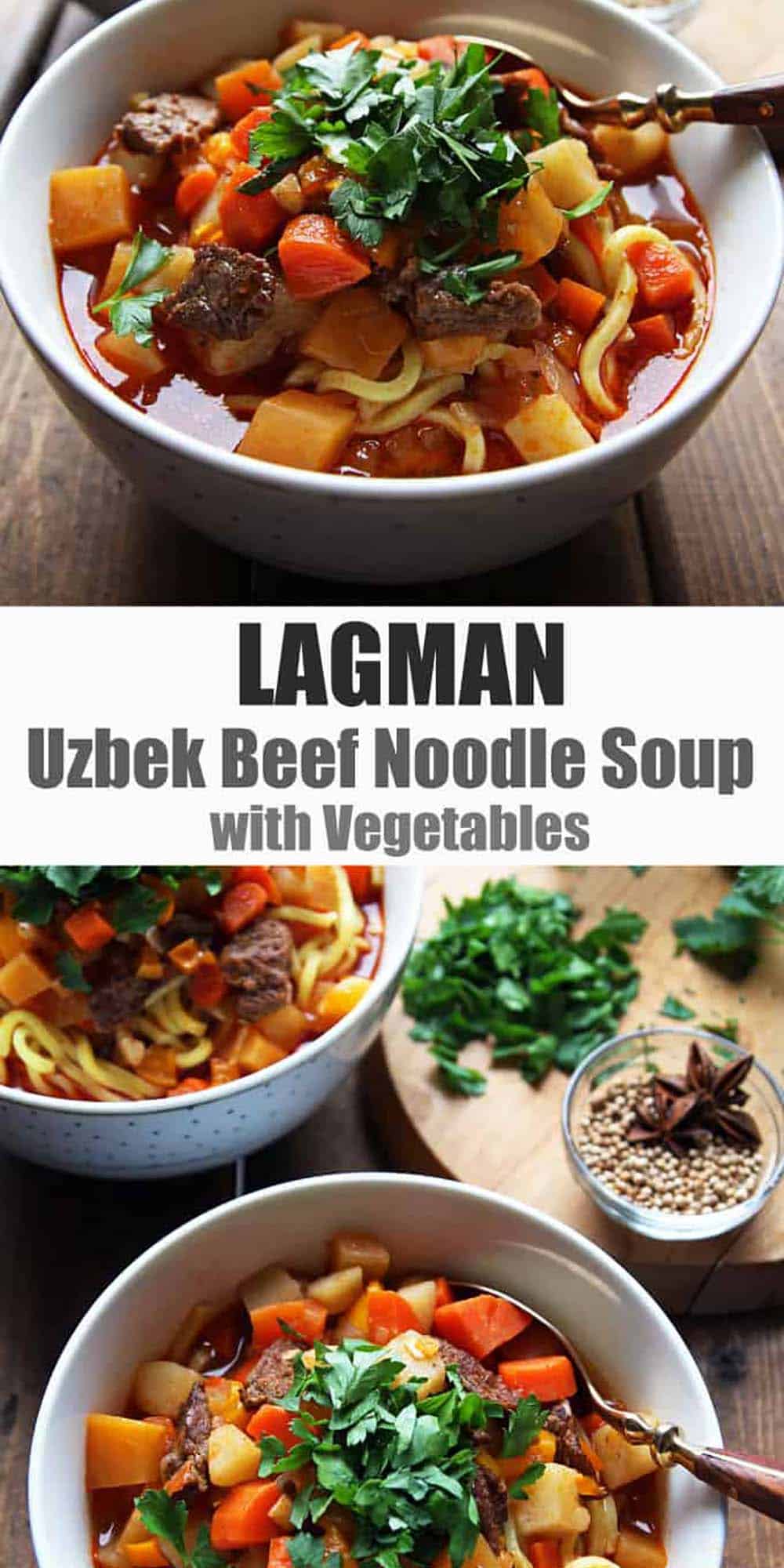 Lagman Recipe - Uzbek Beef Noodle Soup with Vegetables