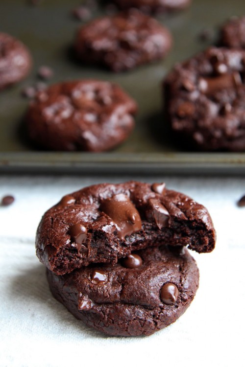 Double Chocolate Chip Spelt Cookies