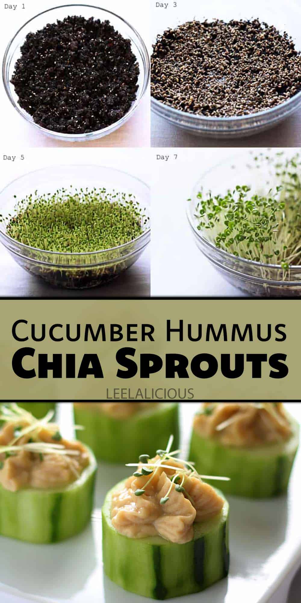 Cucumber Hummus Bites with Chia Sprouts