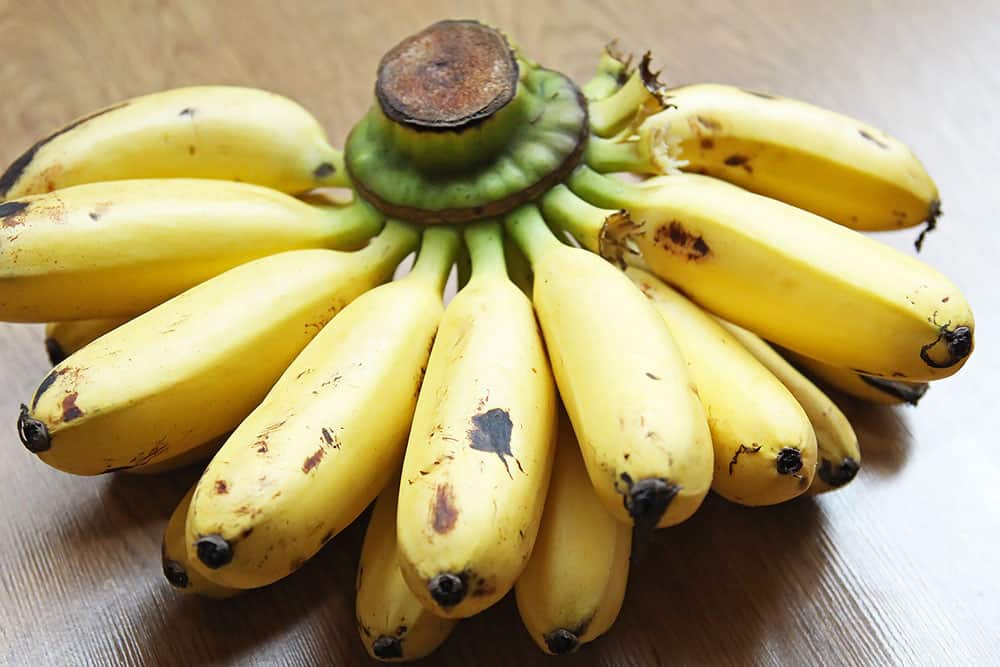 Banana Peanut Butter Overnight Oats » LeelaLicious