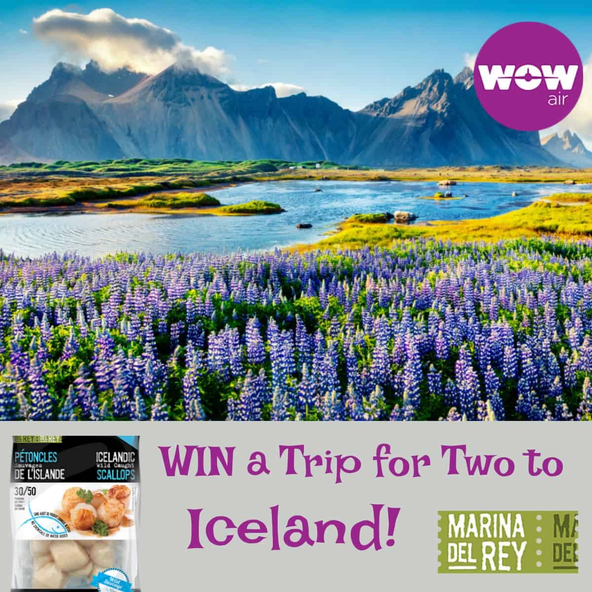 Trip Giveaway to Iceland