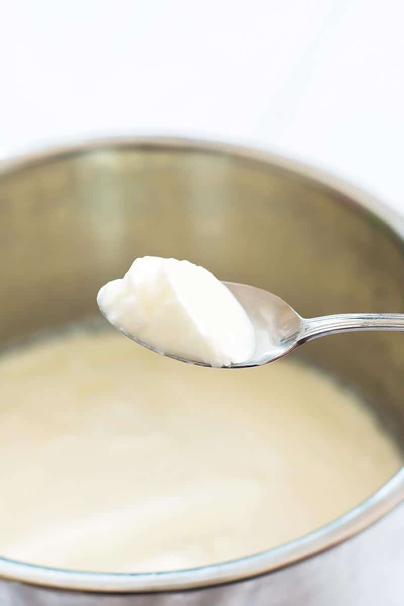 Spoon of Instant Pot Yogurt