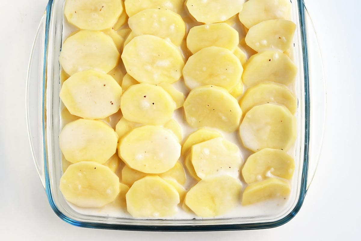 Raw Vegan Scalloped Potatoes