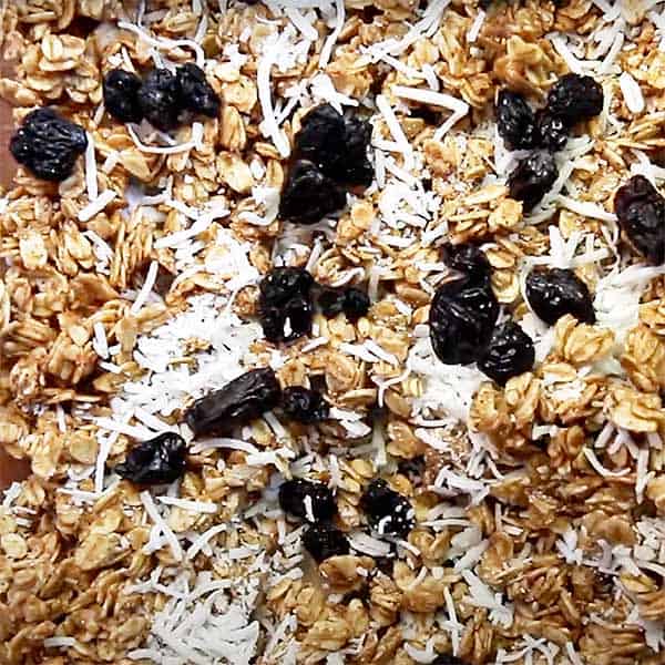 shredded coconut and raisins on granola