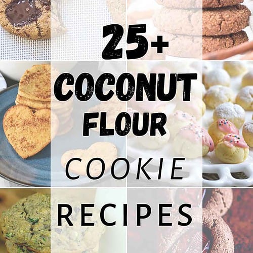 25+ Coconut Flour Cookie Recipes