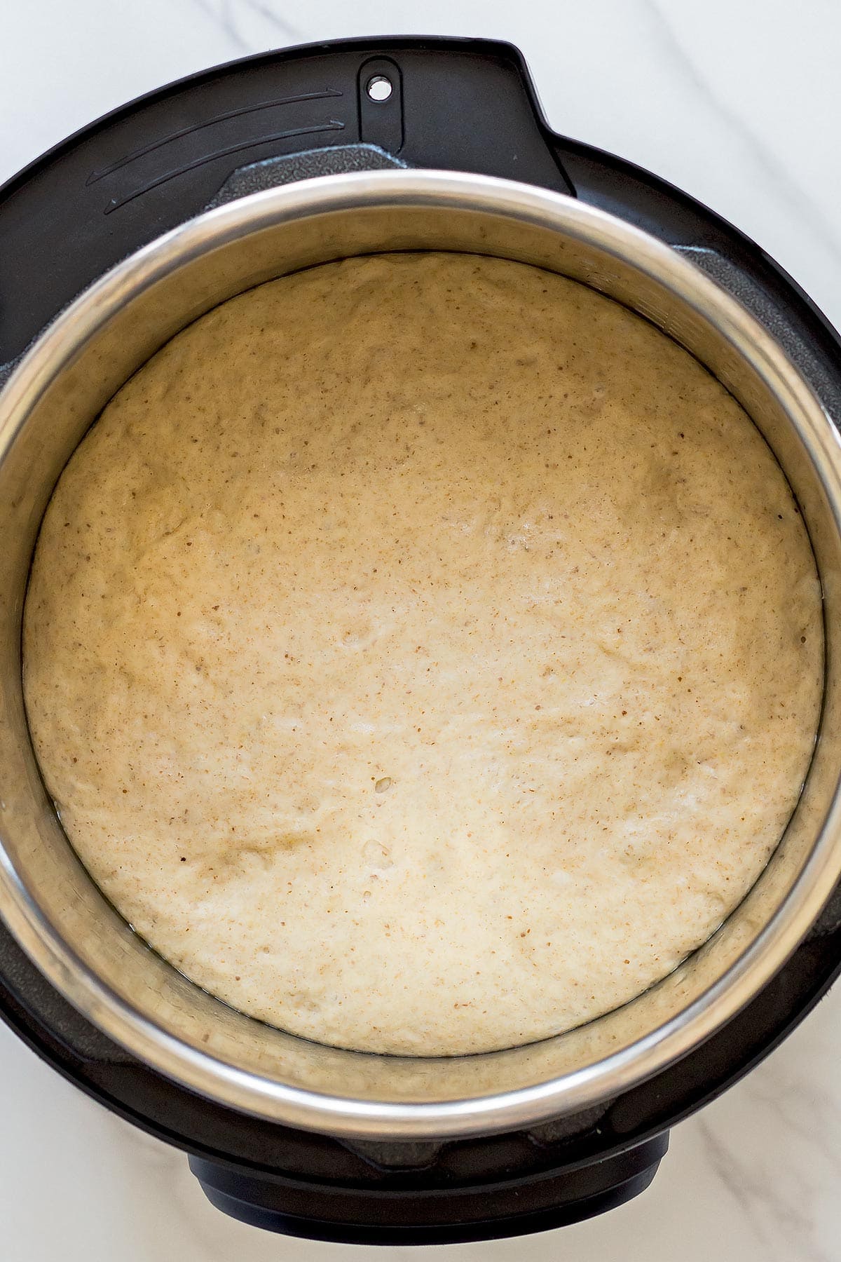 Sourdough Bread Dough Proofing in Instant Pot
