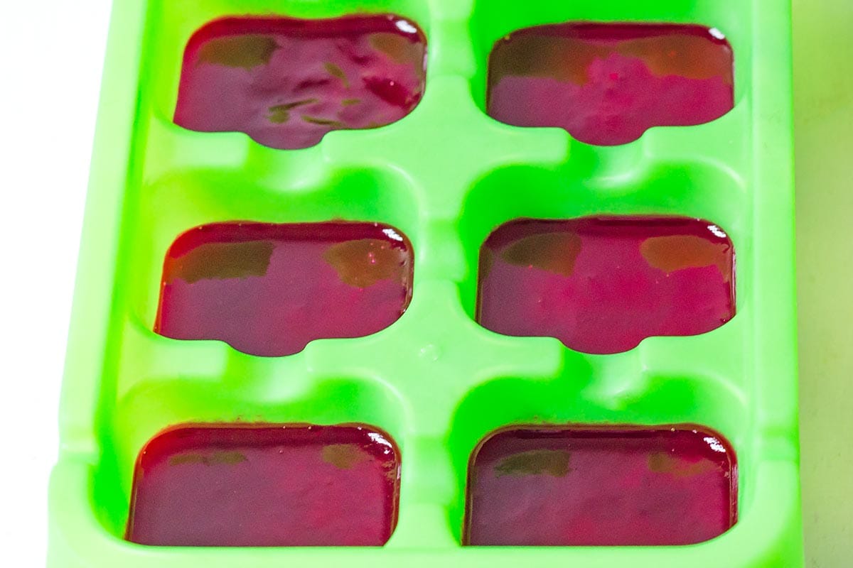 Prickly Pear Juice Ice Cubes