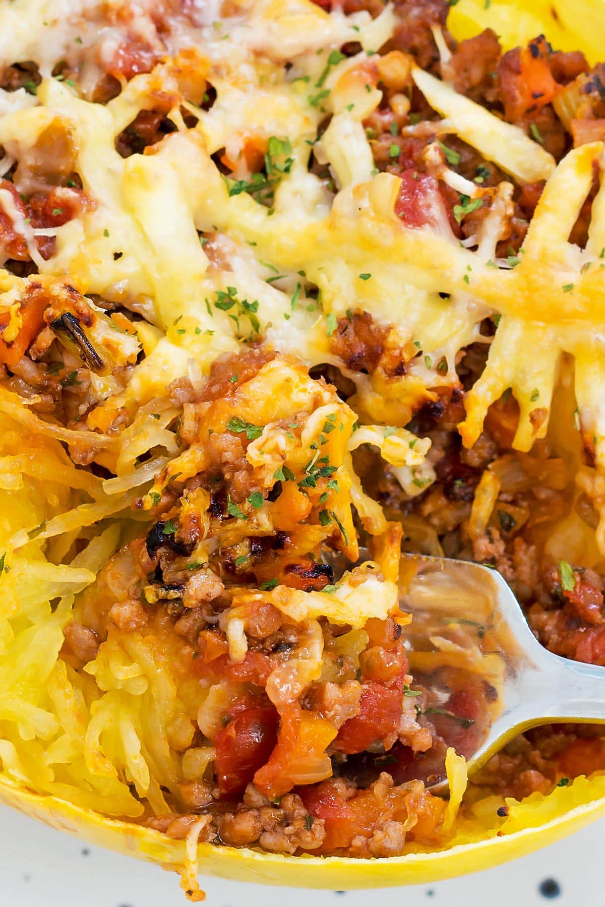Spaghetti Squash with Meat Sauce close up