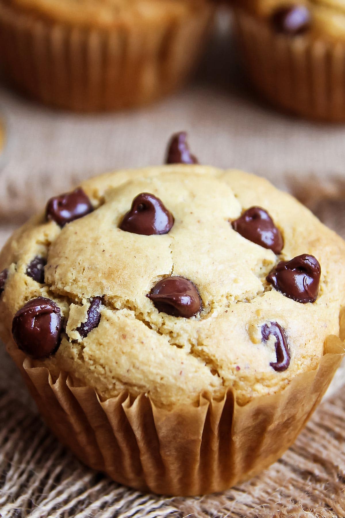 Gluten free peanut butter muffin with chocolate chips