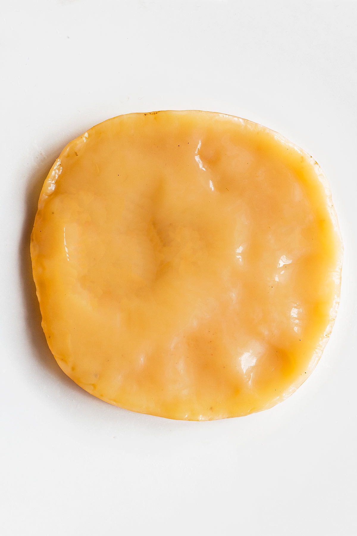 Fully grown jelly like kombucha scoby on a white plate