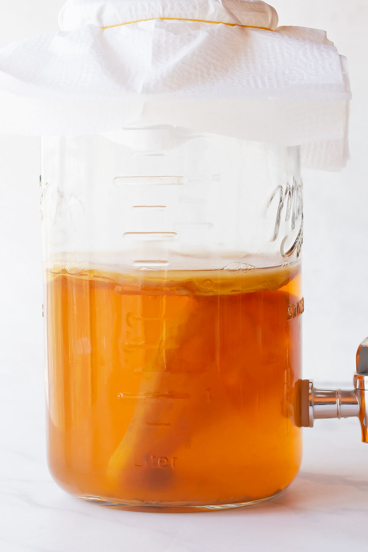 Gallon jar with kombucha ferment and scoby suspended inside