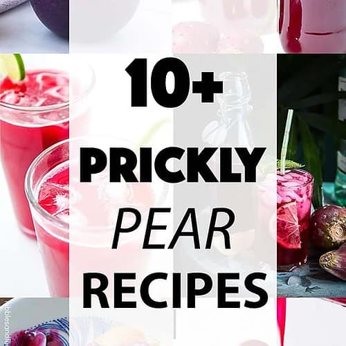 10+ Prickly Pear Recipes You Have to Try