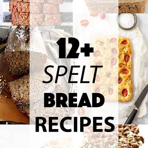 12+ Spelt Bread Recipes