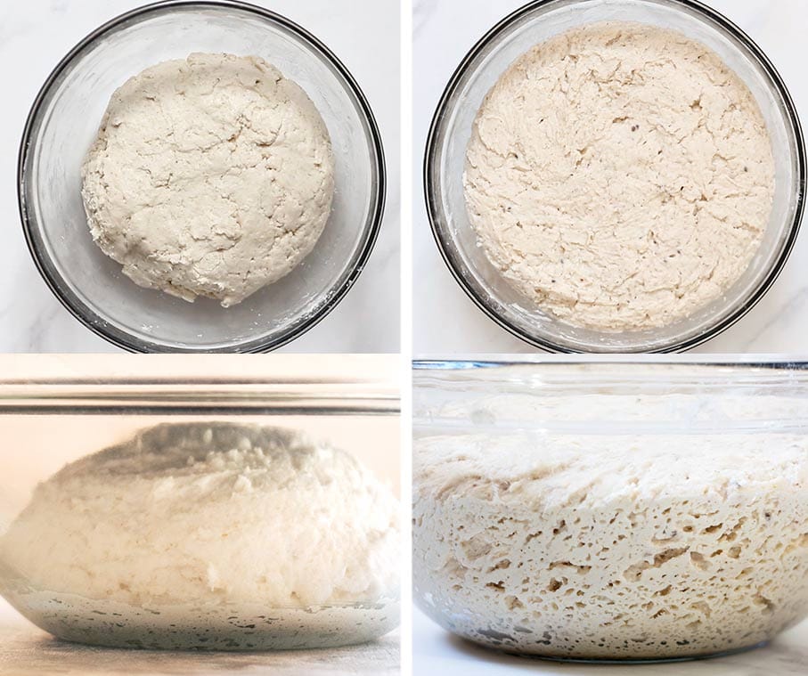 Gluten free sourdough bread dough before and after fermentation