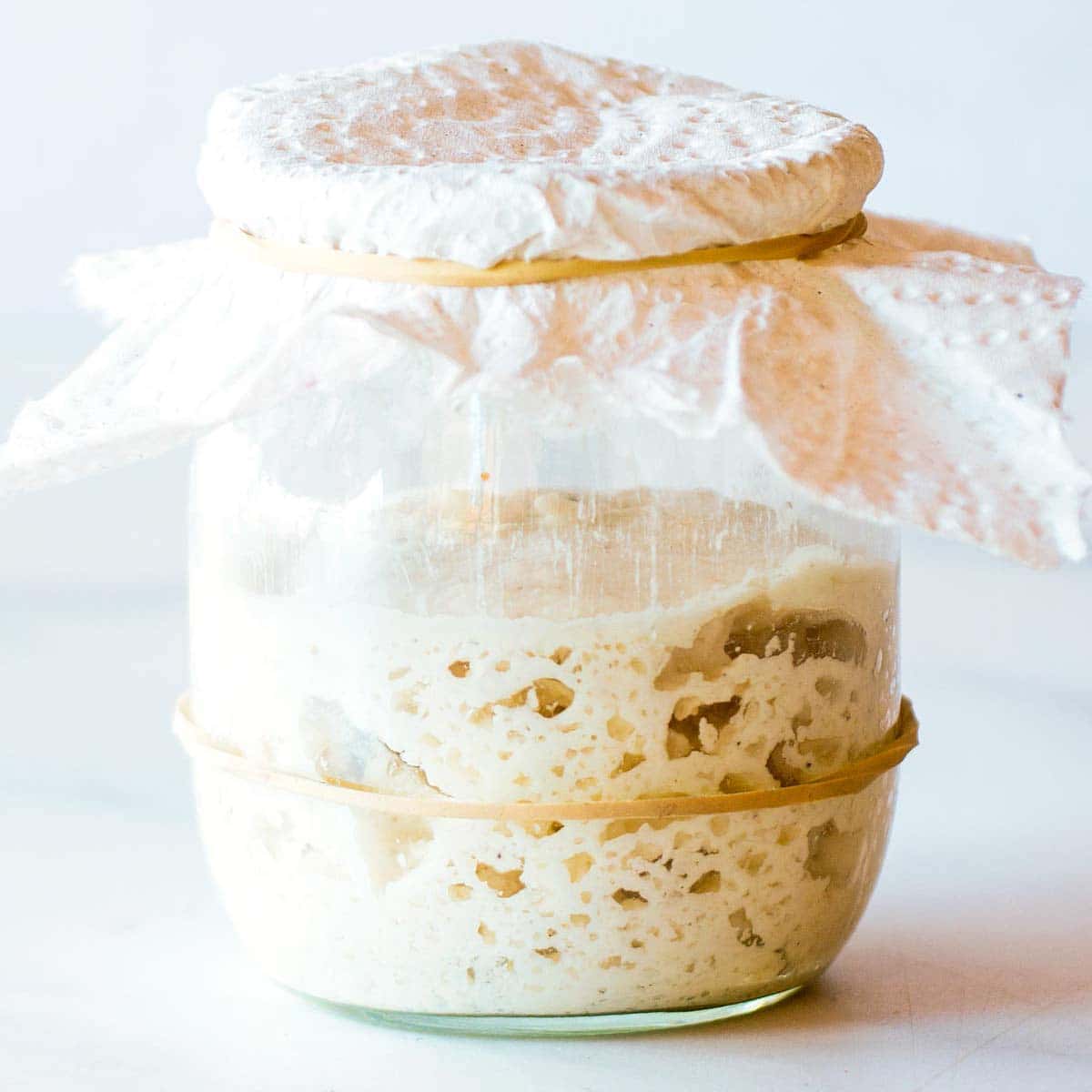 How to feed sourdough starter