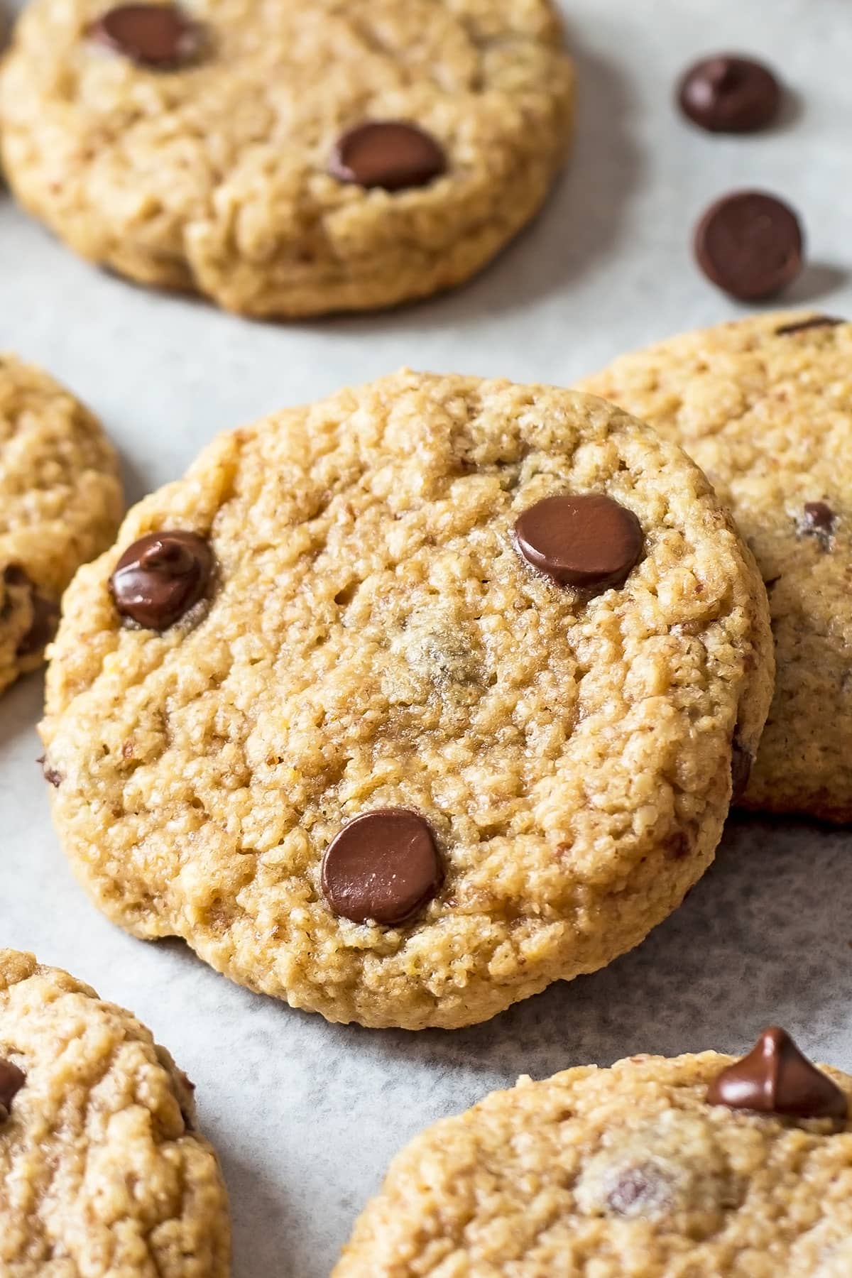 Close up of an oat chocolate chip cookie