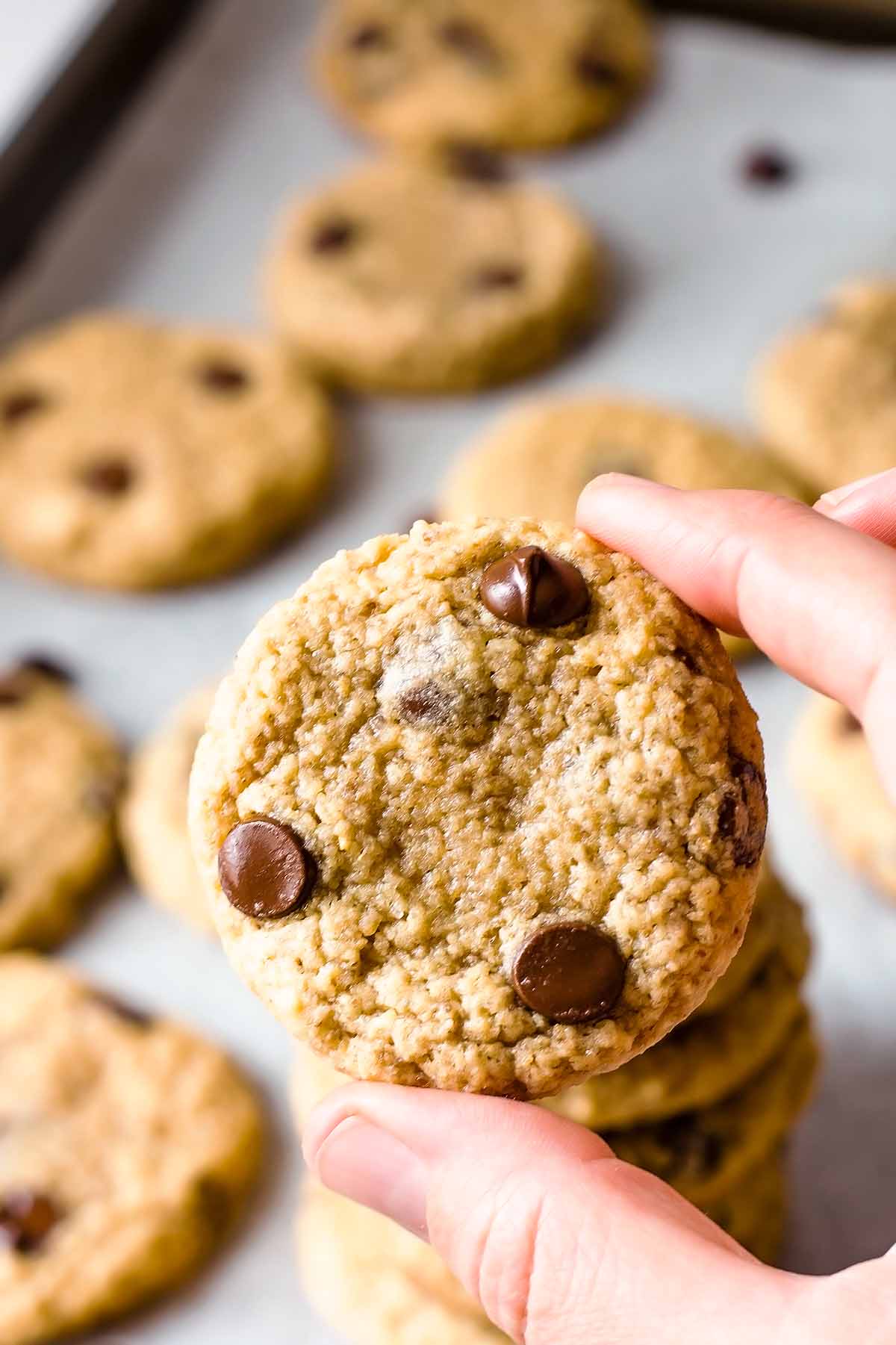 hand holding oat flour chocolate chip cookie