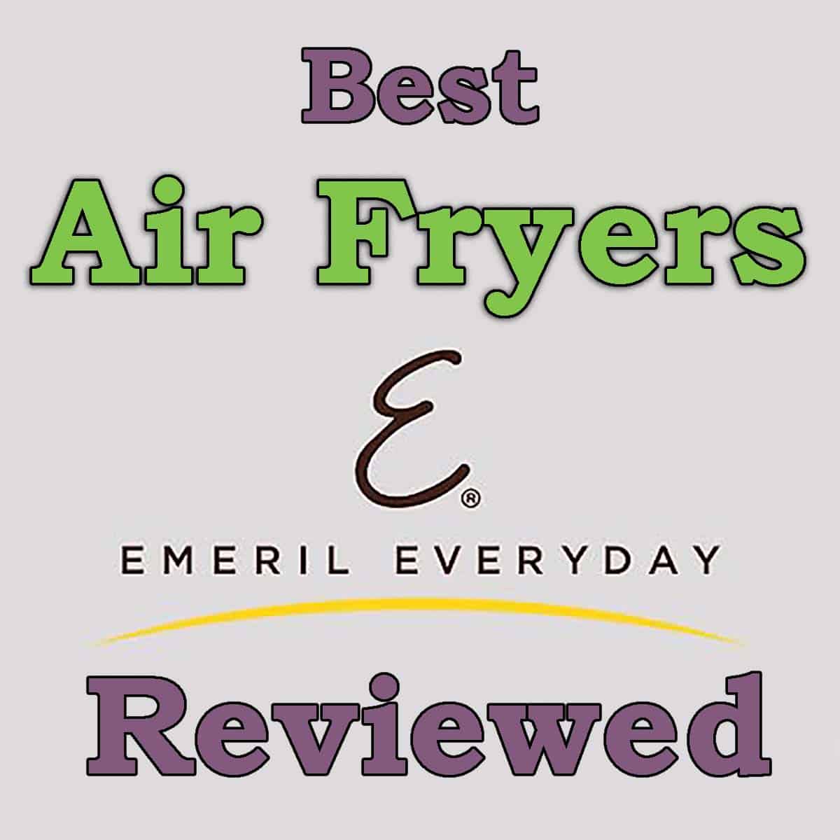 EmerilLagasse Emeril Lagasse Everyday French Door 360 Air Fryer & Reviews