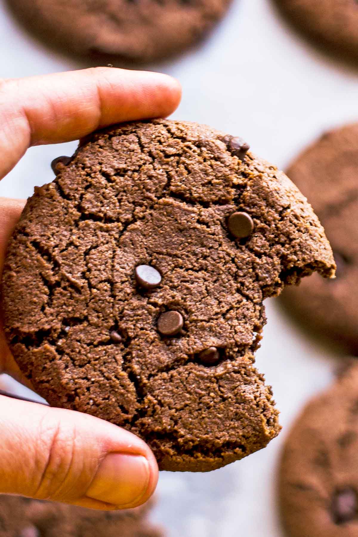 Hand holding gluten free chocolate cookie with bite taken out