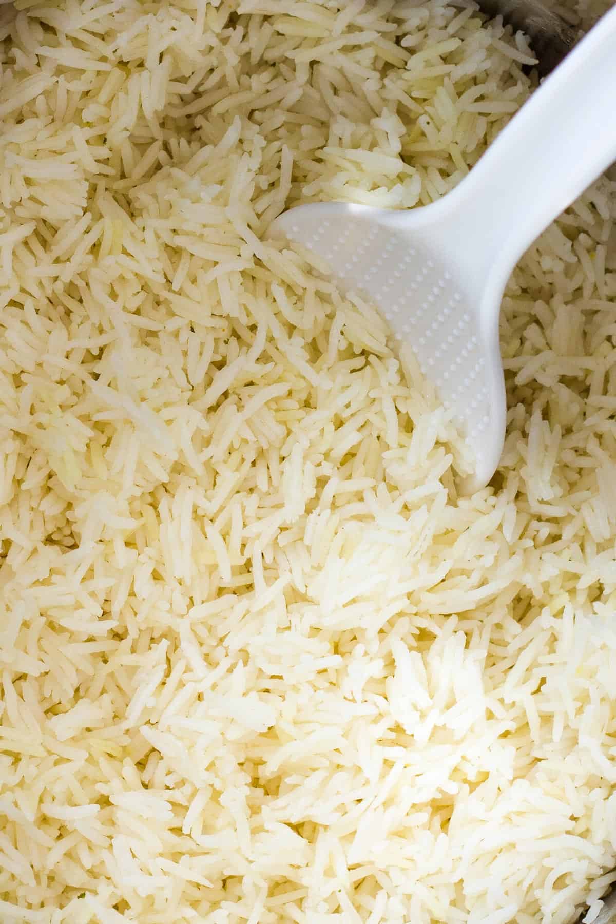 close up of cooked white rice in instant pot with white rice paddle