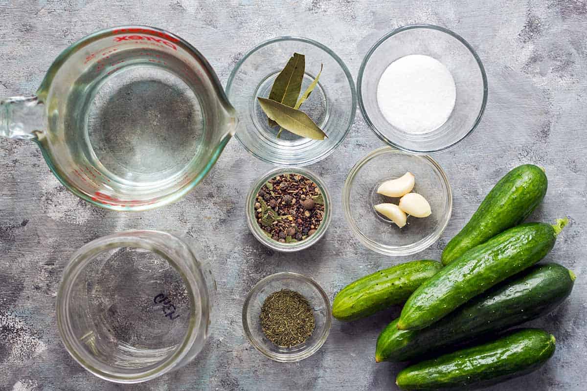 fermented cucumbers ingredients and tools laid out in individual bowls on grey background