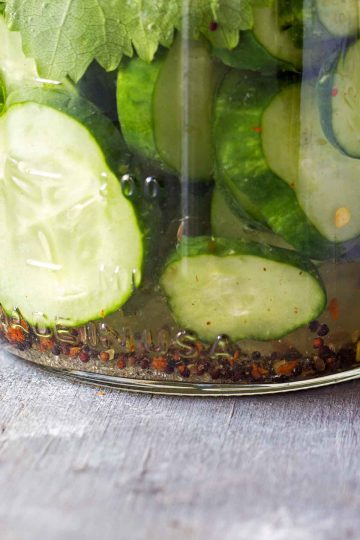pickling spice at the bottom of refrigerator pickle jar