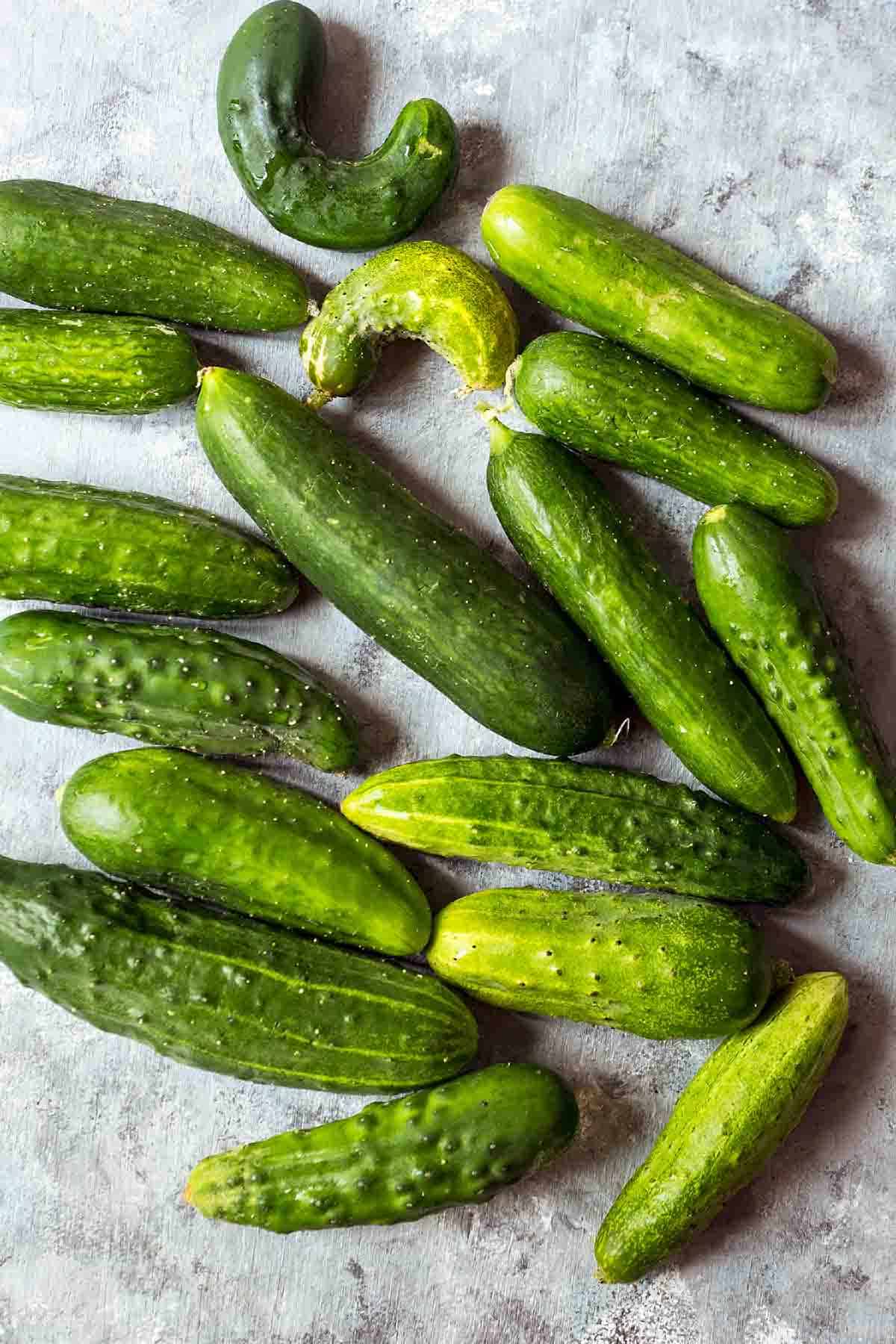 Homegrown pickling cucumbers