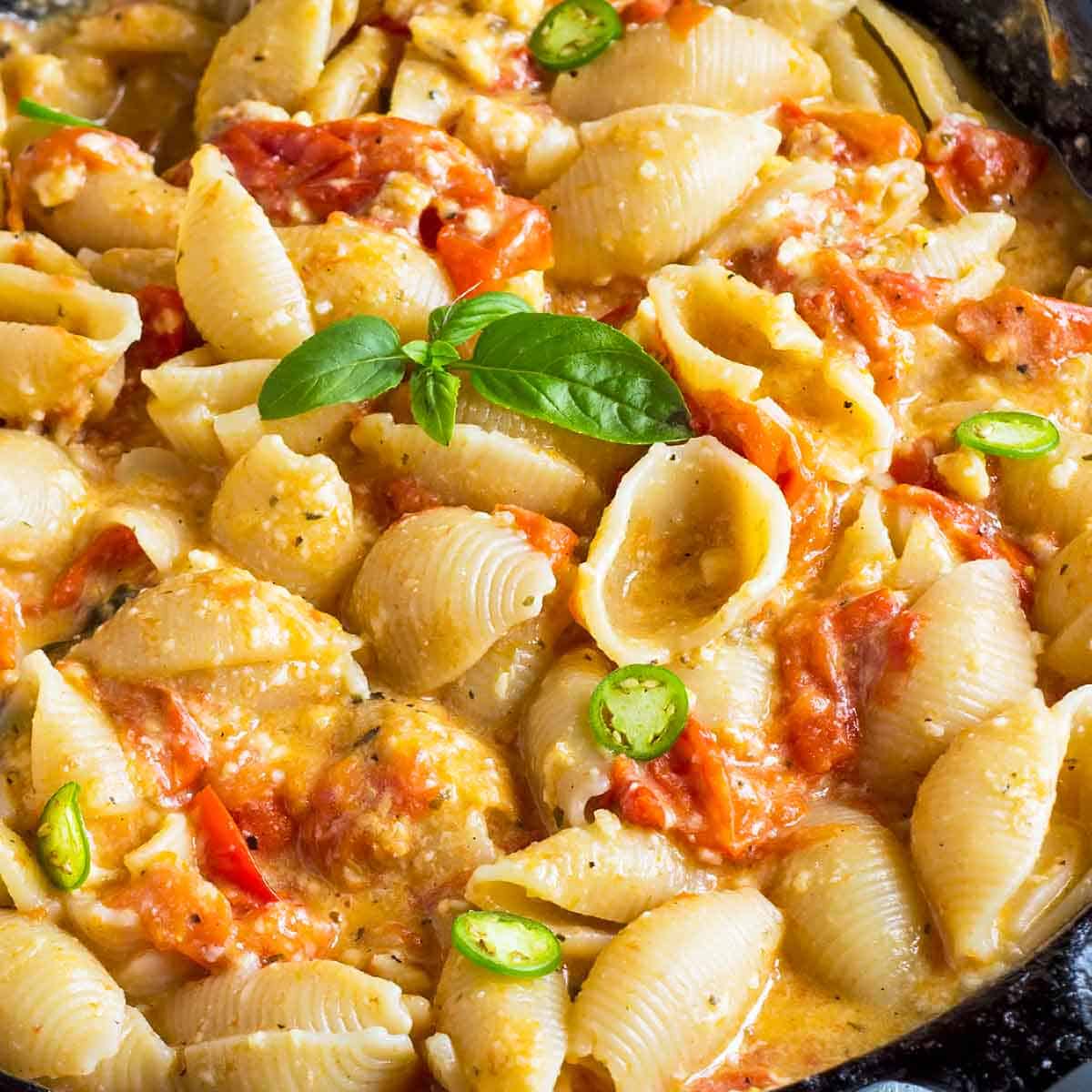 shell pasta with cheese cherry tomato sauce