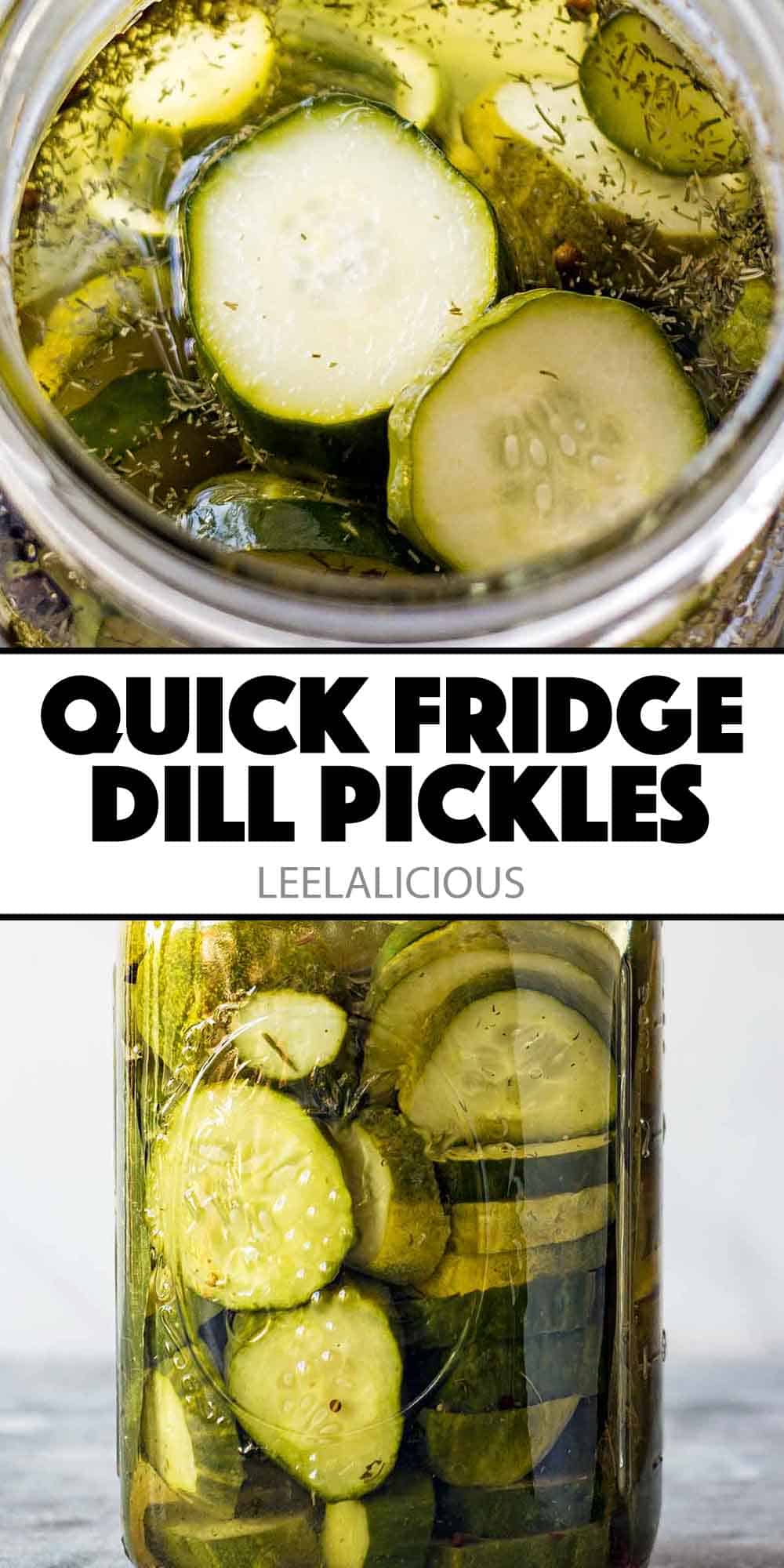 Fridge Dill Pickles Recipe
