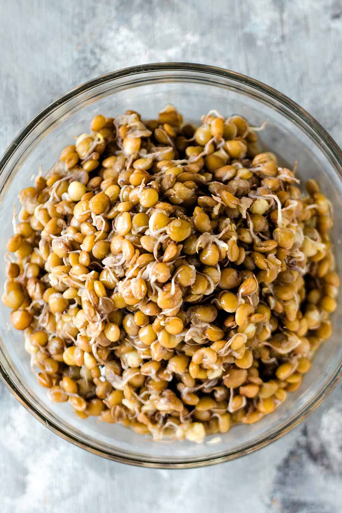 Cooke sprouted lentils in small glass bowl