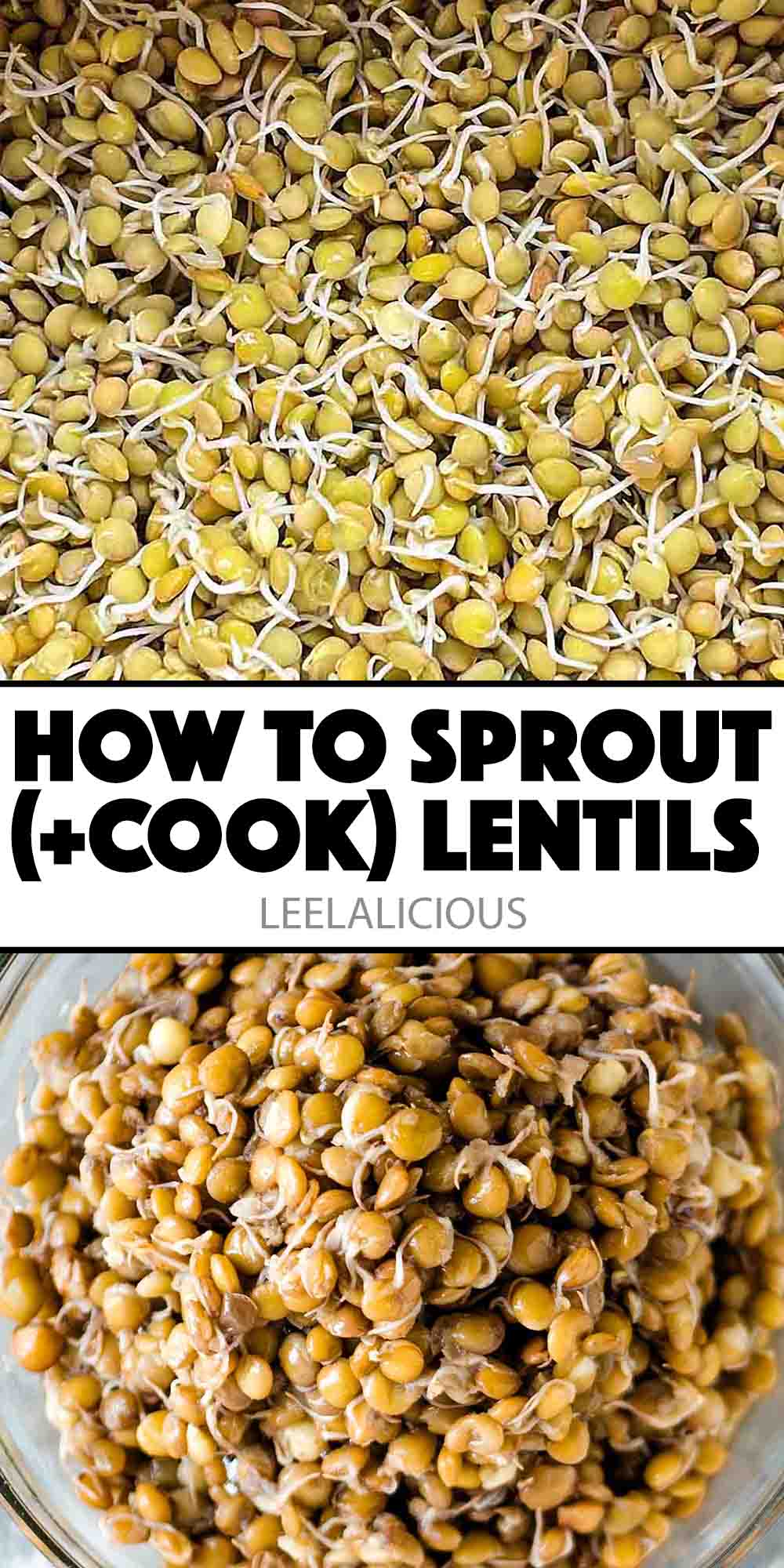 Lentil Sprouts Recipe