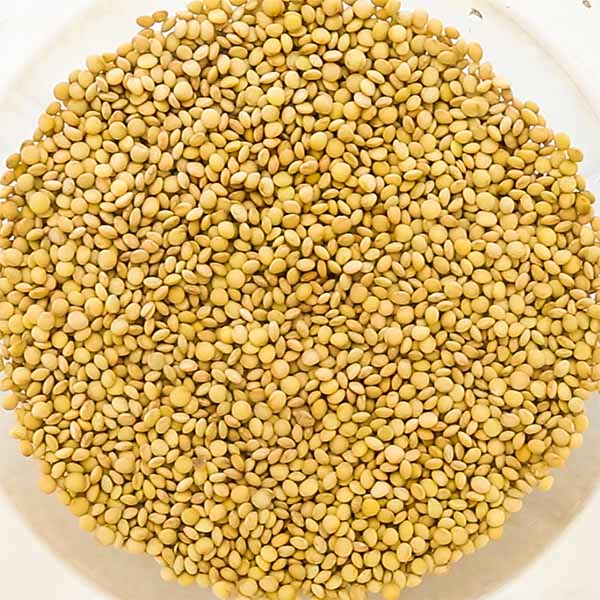 plumped soaked lentils